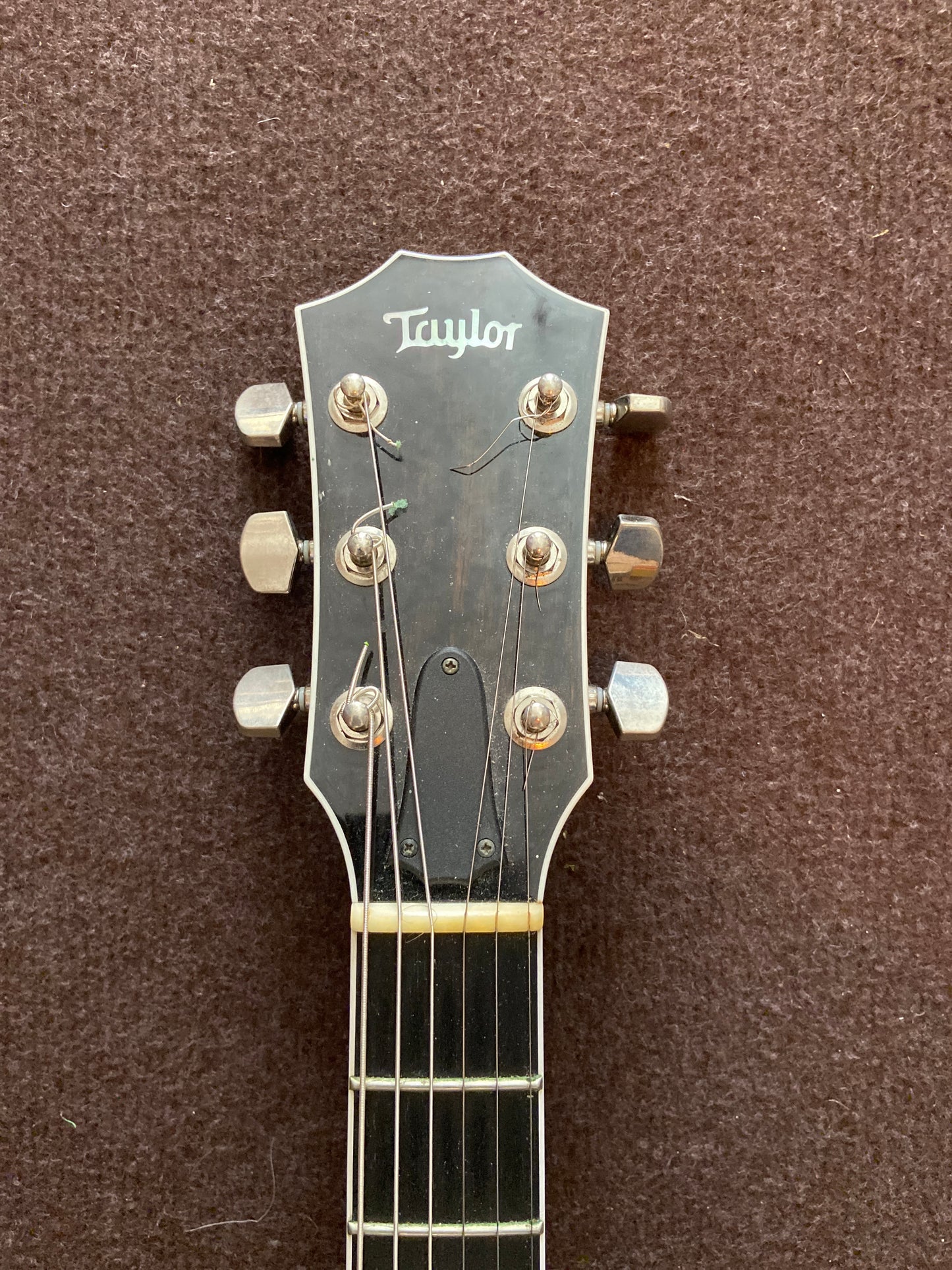 Taylor T5z Pro Gitarre