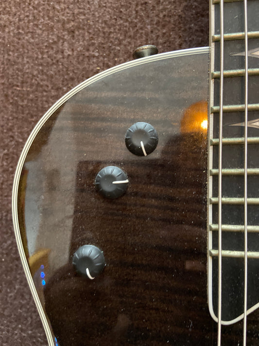 Taylor T5z Pro Gitarre