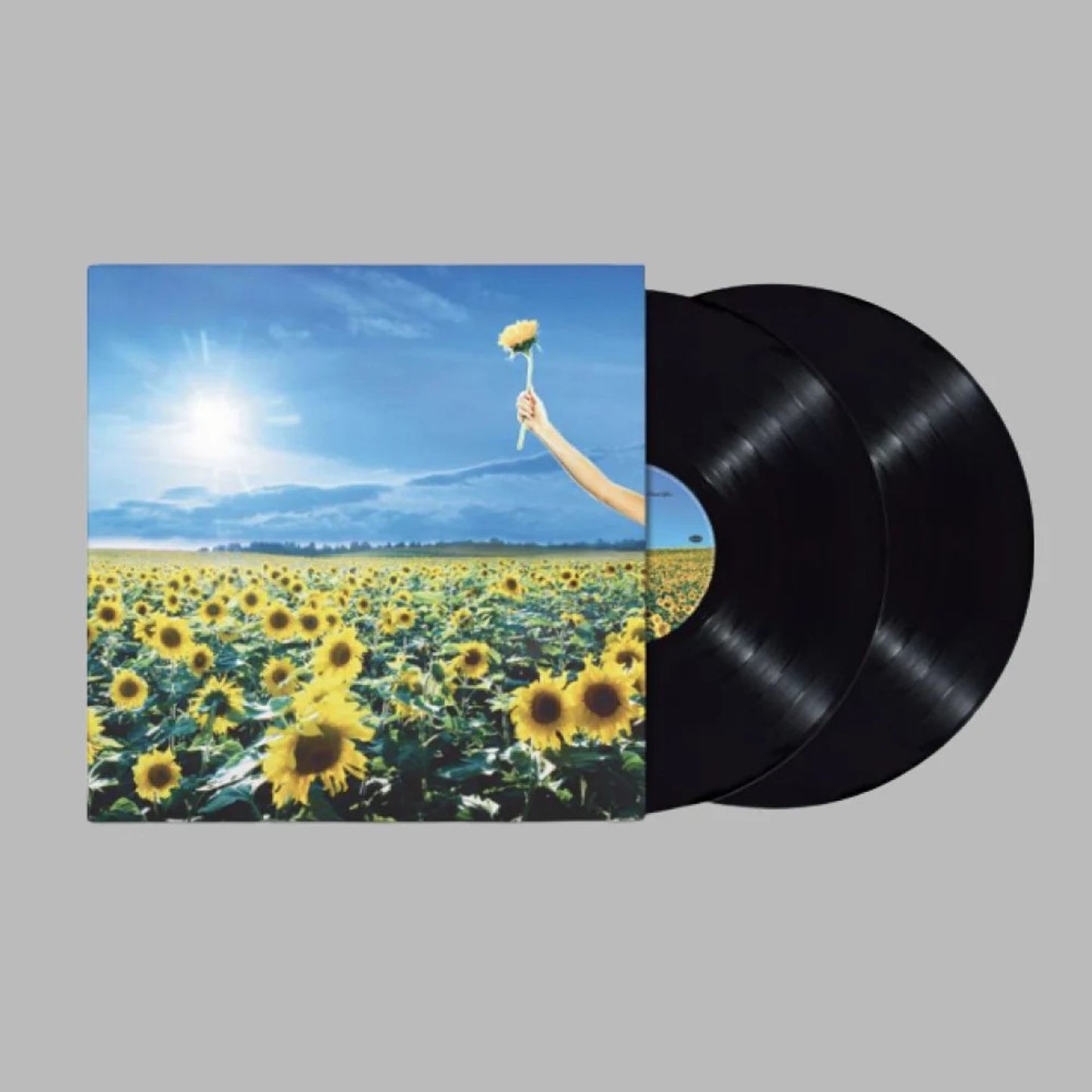 Stone Temple Pilots "Thank You" Double Vinyl