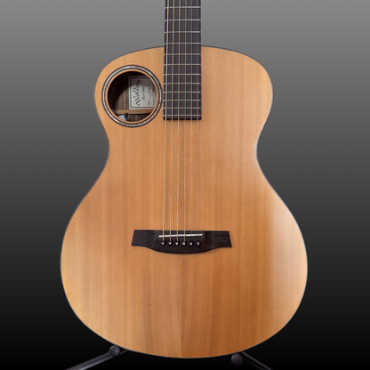 Walden B-1E Bariton Akustikgitarre
