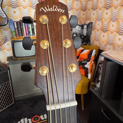Walden B-1E Bariton Akustikgitarre