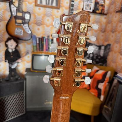 James Neligan NA74/12 12 String Acoustic Guitar