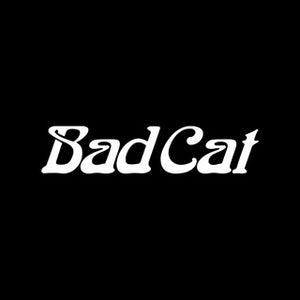 Markenlogo von Bad Cat