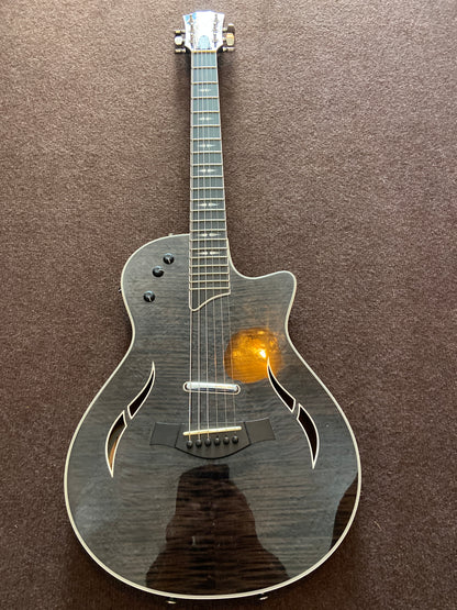 Taylor T5z Pro Gitarre