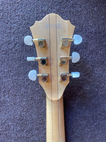 Ibanez Artcore AF105BM-NT-12-01