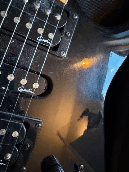 Godin Freeway Classic E-Gitarre inkl. Gigbag