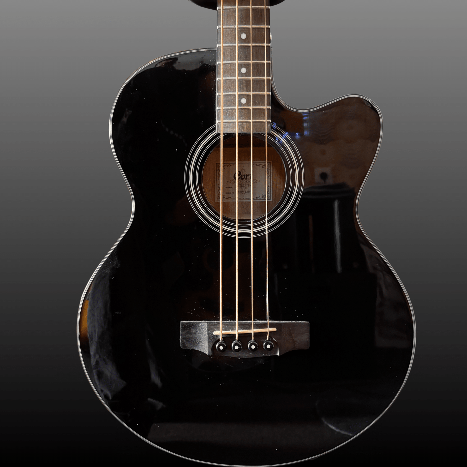 Cort SJB5F Super Jumbo Akustik Bass Cort Acoustic Bass Roadhouse Vintage Vibes