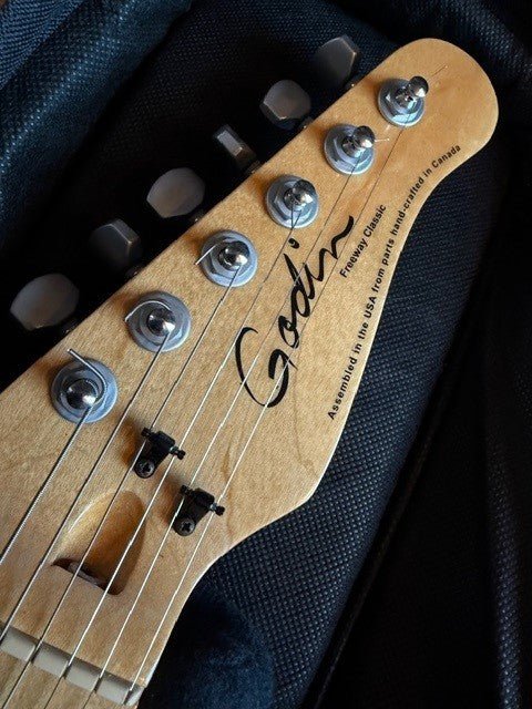 Godin Freeway Classic E - Gitarre inkl. Gigbag Godin E - Gitarre Roadhouse Vintage Vibes