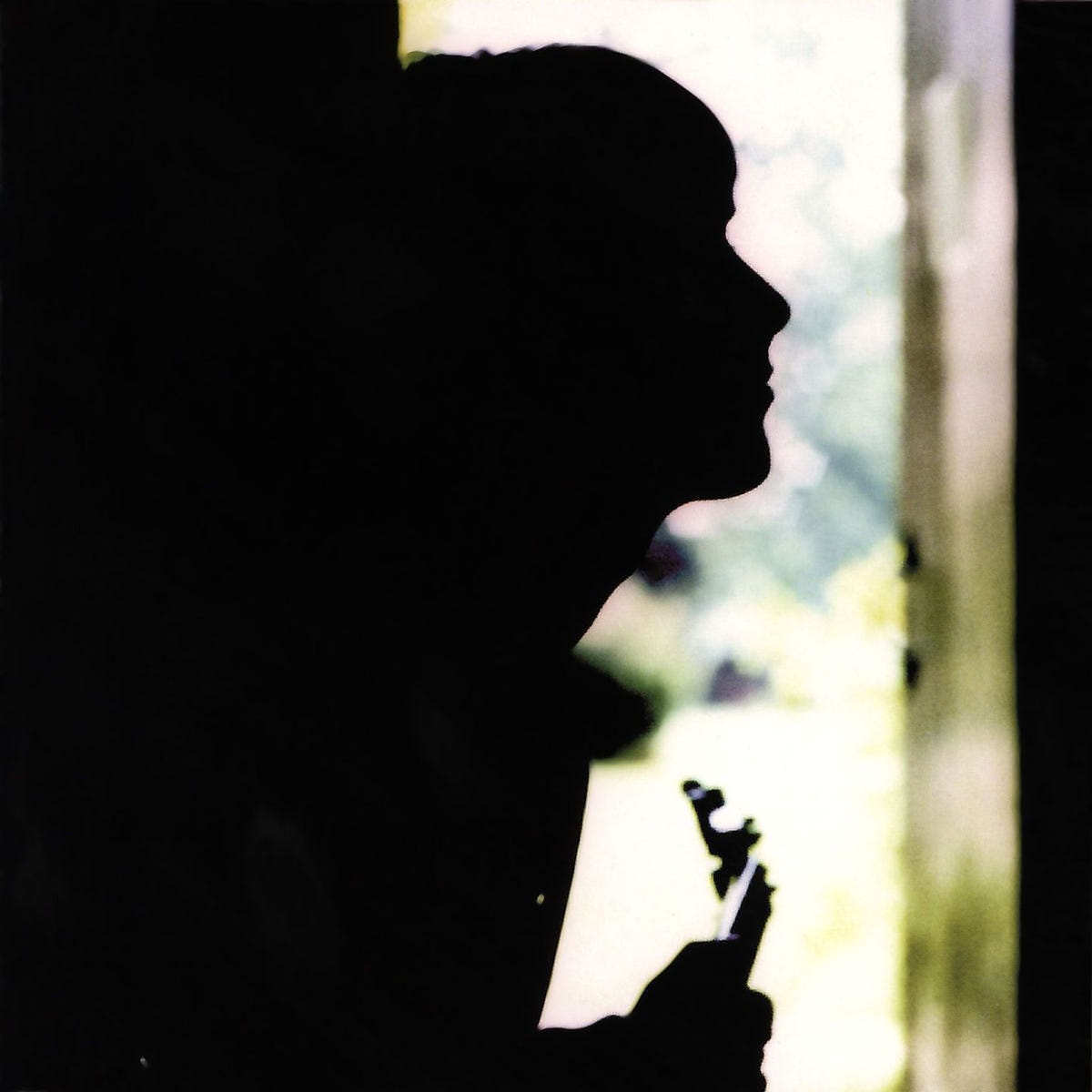 Paul Weller "Wild Wood" (180g) Vinyl – Bild 1 von 1