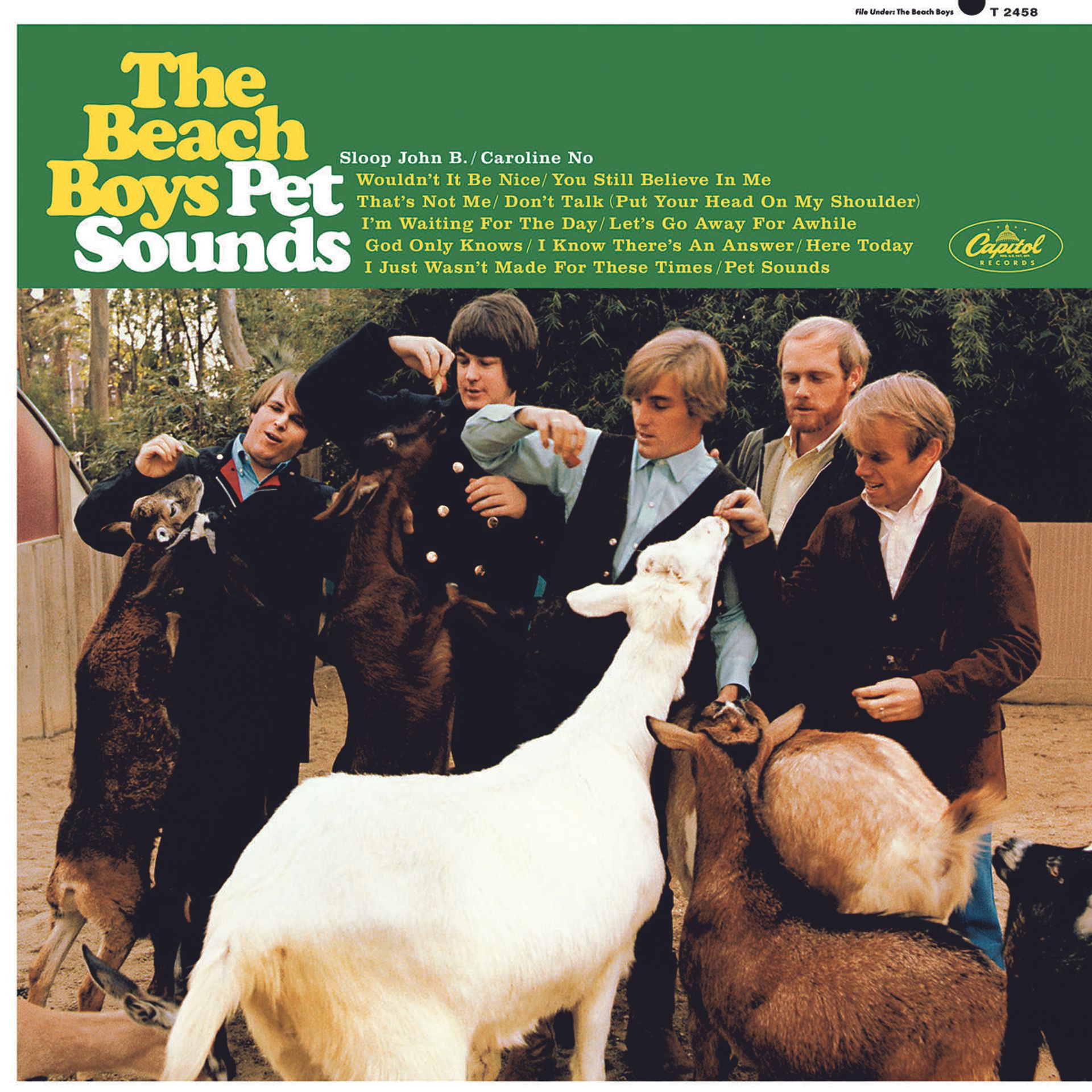 The Beach Boys "Pet Sounds" (180g) (mono) Vinyl The Beach Boys Vinyl Roadhouse Vintage Vibes