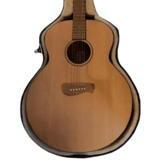 Tacoma IM 9 Jumbo Western Gitarre inkl. Koffer Tacoma Akustik Gitarre Roadhouse Vintage Vibes