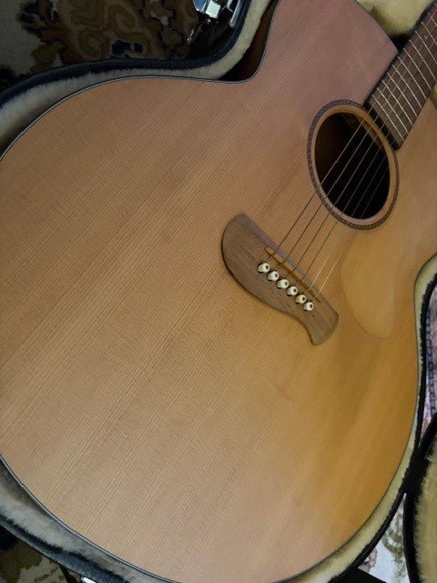 Tacoma IM 9 Jumbo Western Gitarre inkl. Koffer Tacoma Akustik Gitarre Roadhouse Vintage Vibes