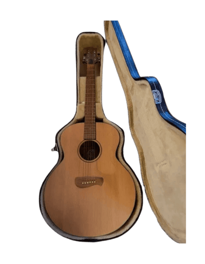 Tacoma IM 9 Jumbo Western Gitarre inkl. Koffer Tacoma Akustik Gitarre Roadhouse Vintage Vibes